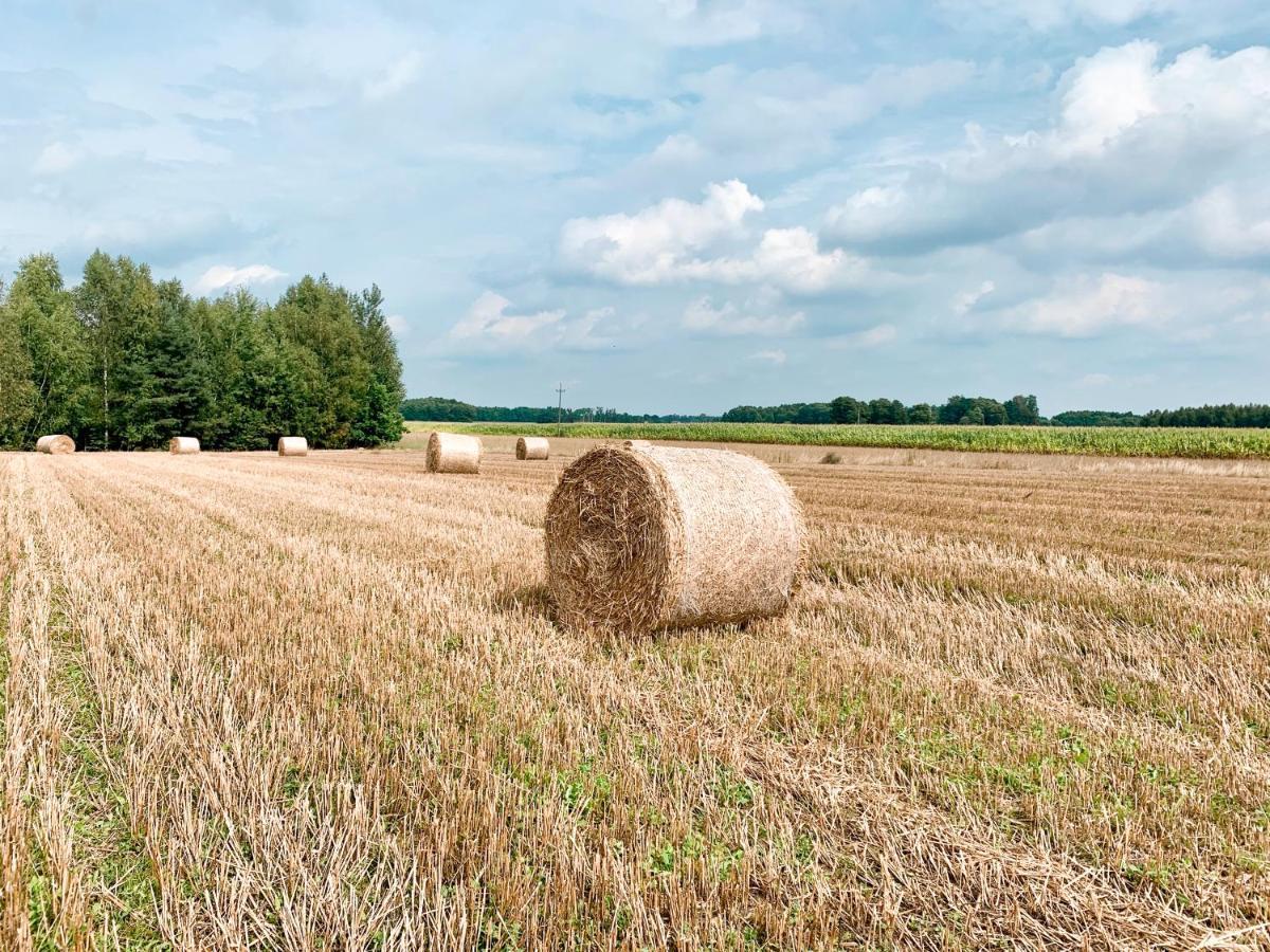 Agroturystyka Sielanka พสาสเนสซ์ ภายนอก รูปภาพ